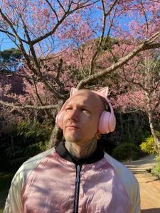 paulvelvet Sakura Foto 2