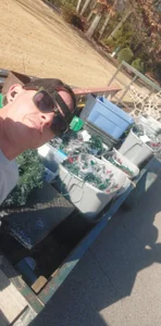 gemmasacetrai Public Pic