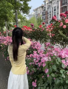 Sweet-Tea: Public ( 3 фото)