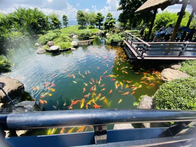 xxDepzaixxPublic图片 5