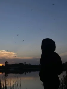 NoeliaGomm Public Pic 2