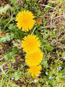 HinaLovely My life 사진 5