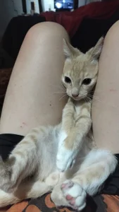 OfficeSexy2k6 kkk Pic 2