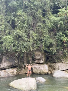 FreszX Naturaleza 🌳🌊🌊 зображення 6