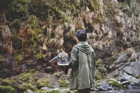 Katakuriko-Denpun Public Immagine  2