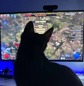 maydaykimmy my kitten (cuz closed dreamgoal) Pic 4