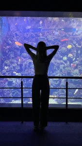 tyty_piupiu Summer vacation 🌴🌴🌴 Immagine  7