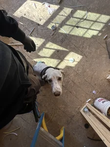 JondusS Hard @ work Foto 3