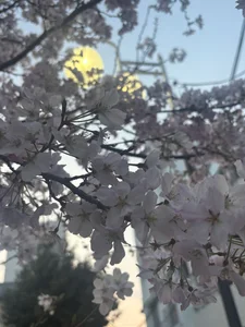 mii__tanのPublicの 4枚の写真