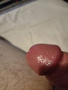 Butterfly_Strip Public  4. fénykép