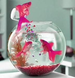 Liam223K Public Foto