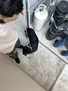 tengocanicasのPublicの 3枚の写真