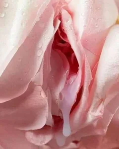 lili mon de katysquirtdirty  photos