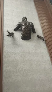 Alejandro11once1Vea Bild 5