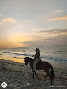 Brendalamar Public Pic 9