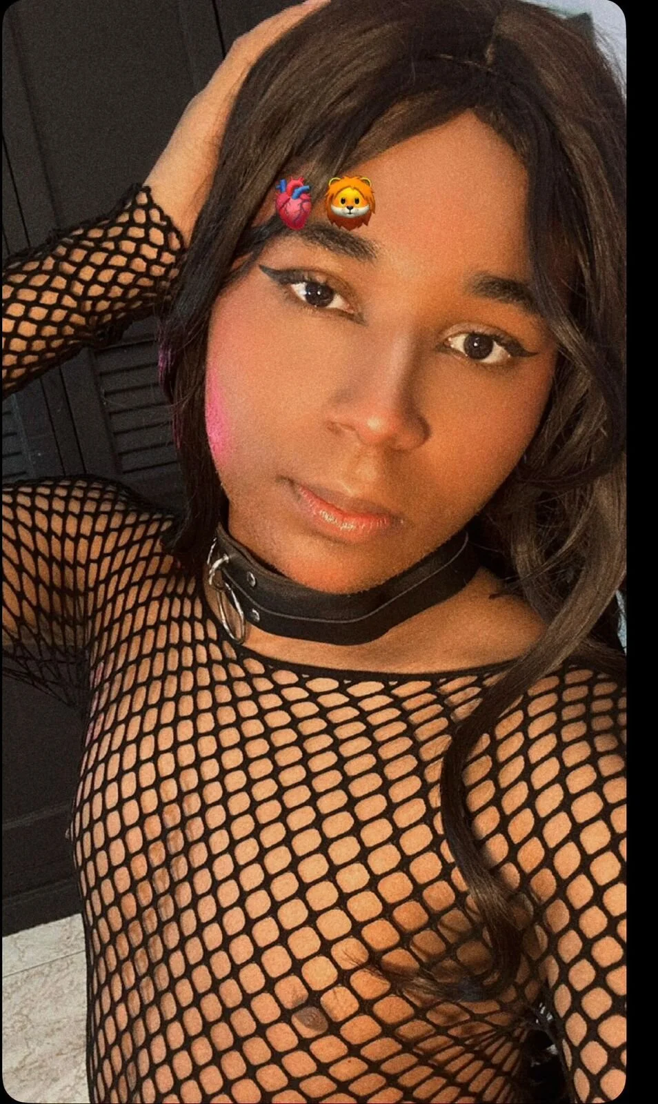 _foxy_00 Image populaire  7247