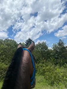 Amber_Martins_ Mío 🐎 Bilde