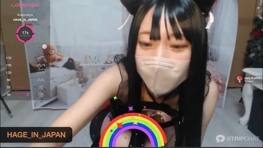 毎月22日のにゃんにゃんデー🐈💕