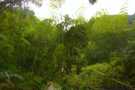 ZahhyFrequency Natural Goddess 🍃🌿🌷 Immagine  8