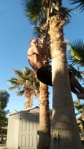 bigraski1976 Working out  5. fénykép