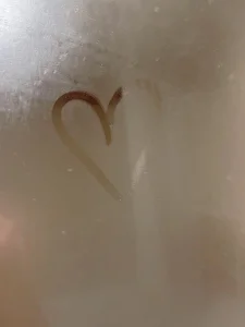 mynameloveeeeee Public Pic 2