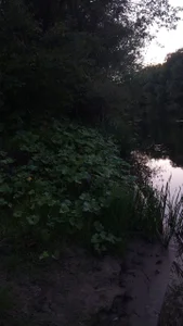 RocKStone_ last day Foto 9