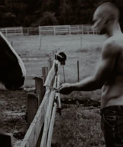 VanguardVarsity Marco slika 3