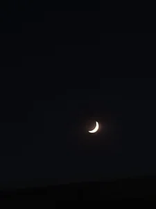 dexter_OX Meeee صورة واحدة|dexter_OX Meeee صورتان|dexter_OX Meeee  3 صور|dexter_OX Meeee  3 صورة
