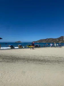 Ethan_Fox11 Cute summer 🕶️☀️ зображення