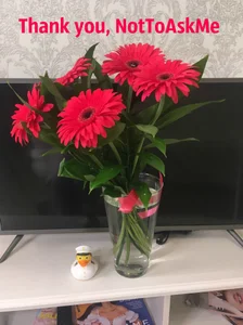 MollyBer kullanıcısının Flowers from you (777 tkn to send me flowers and make me happy) albümü -  3 fotoğraf