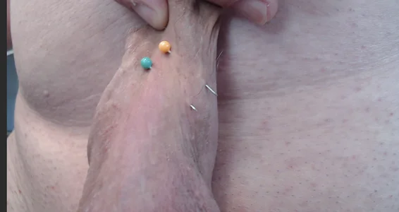 Toy-Daddyneedles图片