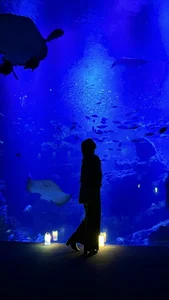 yuki-chi Public Fotka 2