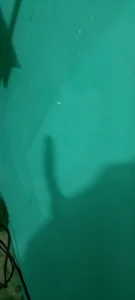 xxxxhotxoxo shadow of my hard cock Pic