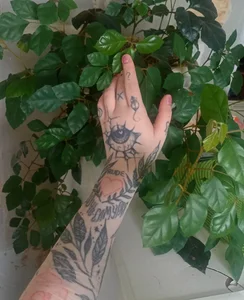 I also love growing houseplants! 🌱 de MarcyBright Foto 6
