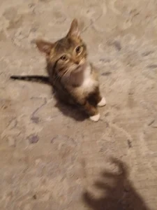 rainbow9028 About me Immagine  5