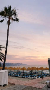 Alanasole 🏝️🏝️ Hình 4