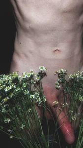 muffledscreeching_v2 Public Foto 3