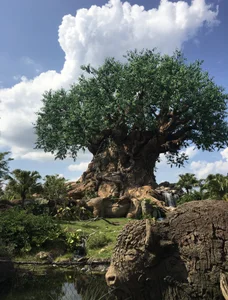 SUZU_1201 Public Pic 6