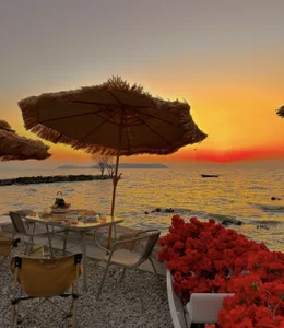 summer-001 👣 Poză 2