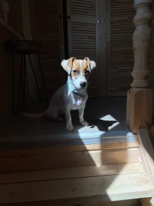 Airyhill My sweet soul Foto 3