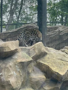 beril_kiss- Zoo Pic 4