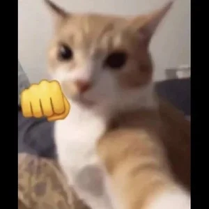 Dooubletroublee our fav meme Foto 3