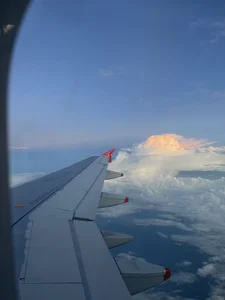 Sam_Sara Caribbean at Christmas 💚🥥 Εικόνα 6