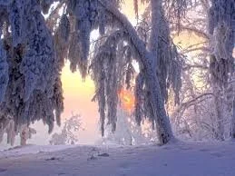 PetraHambelton my fav vibe Pic