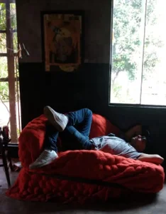 KaleuSC Gato comportado Foto