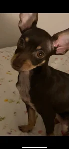 Public de TeriSchabbing Foto 2