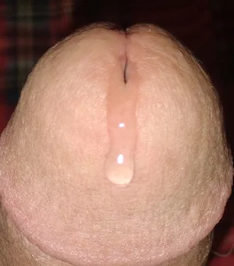 gspot-netym Public Poză 5