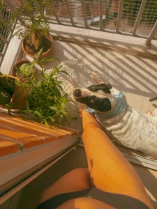 Daddysgirl1_ My angel Pic 3