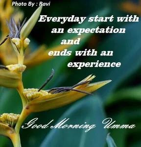 bihar_sexy_tatto thank chiltari Bilde