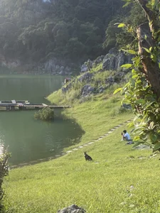 Public de Thichchoitran86  5 Imagens